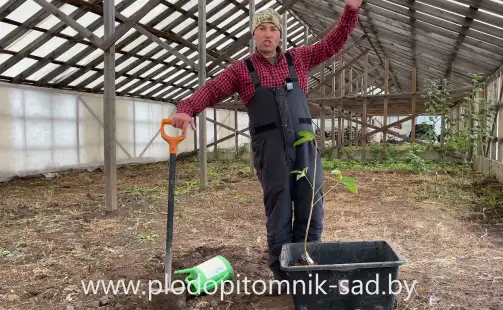 Превью видео