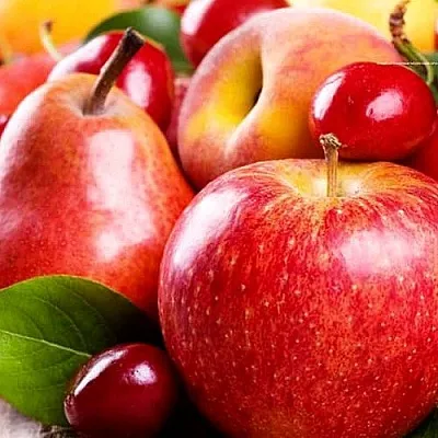 Плодовые деревья в Саранске