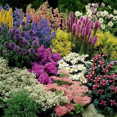 Травы в Саранске