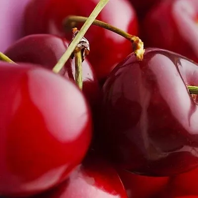 Вишня в Саранске