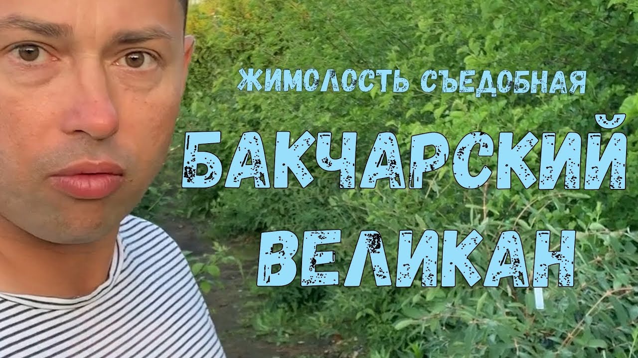 Превью видео