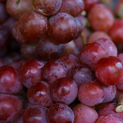 Красный в Саранске