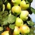 Яблоня БОЛЕРО колонновидная в Саранске